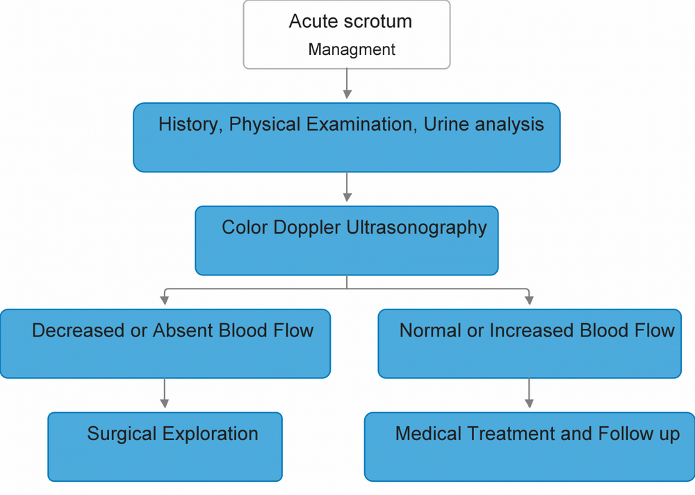 Acute scrotum algor.png