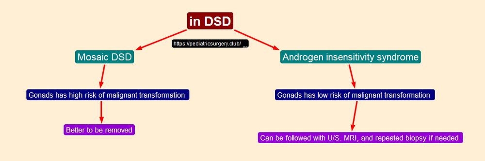 dsd3.png