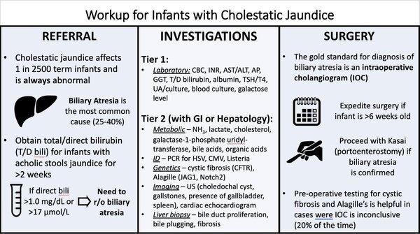 Workup for cholestatic jaundice