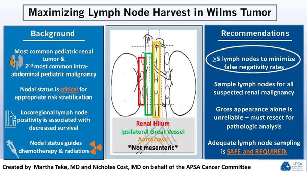 LN harvest in wilms tumor