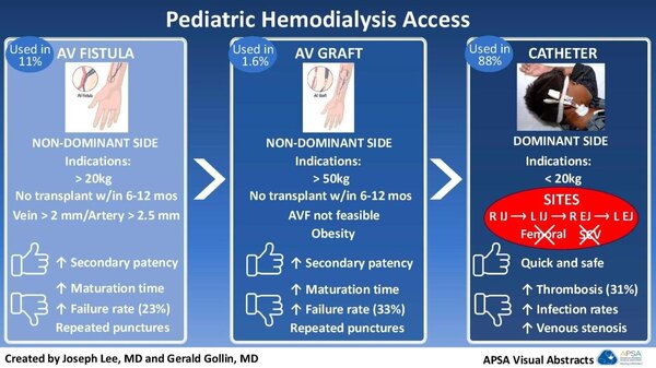 hemodialysis access
