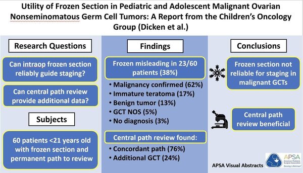 Frozen section in germ cell tumors