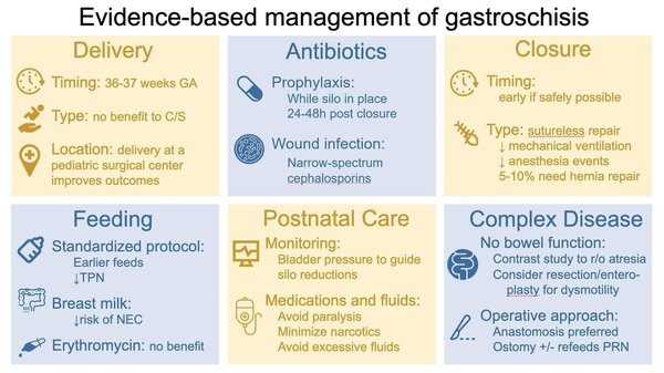 Management of gastroschisis