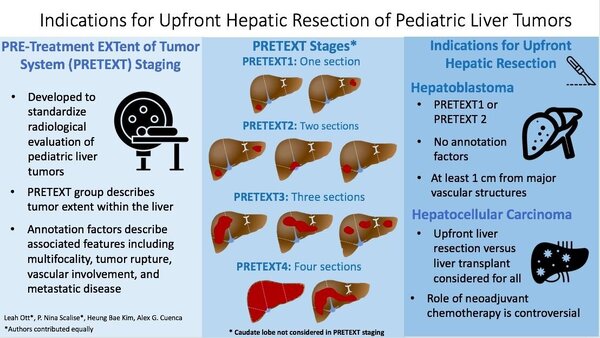 Hepatic resection