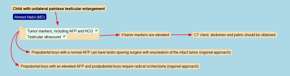 testicular swelling.svg.png