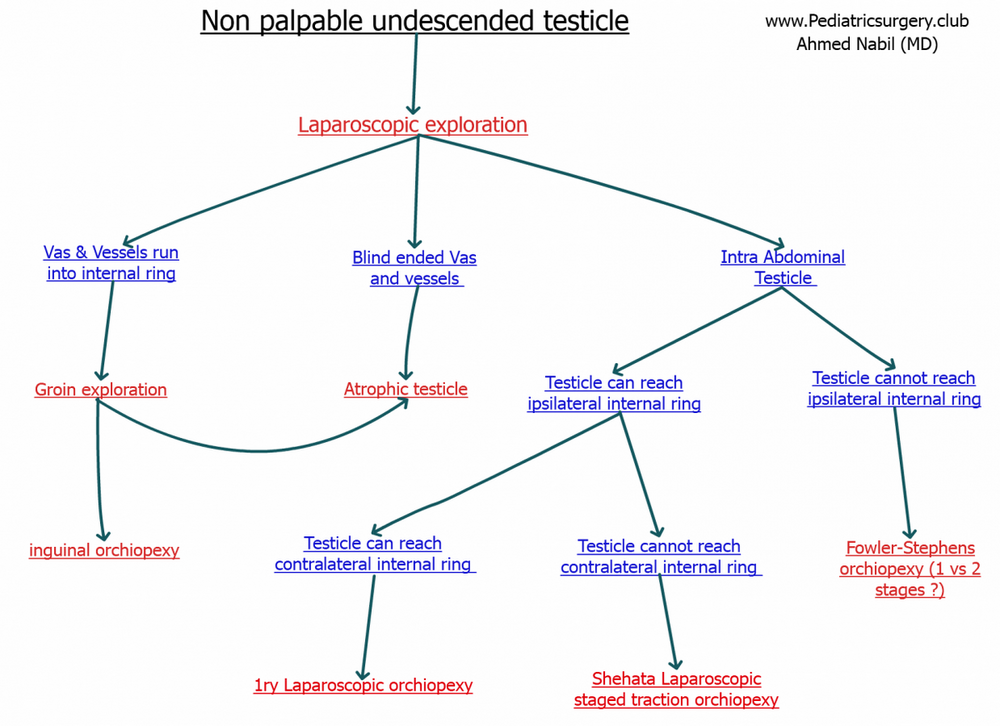 undescended.png