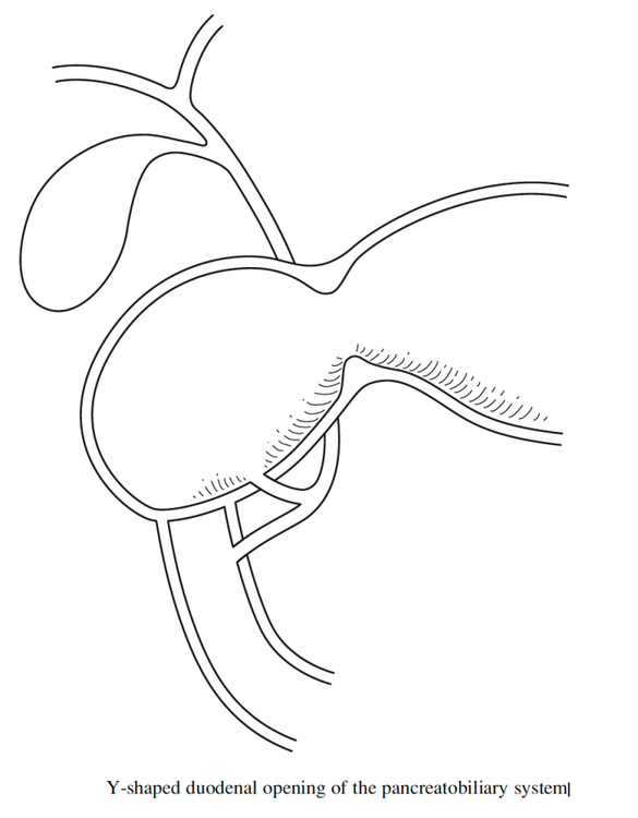 2022-05-28_22-38-06.png