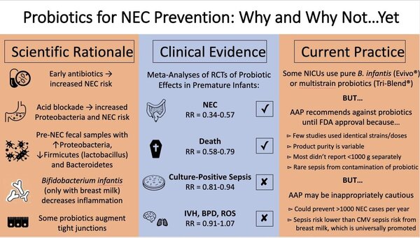 Probiotics for NEC prevention