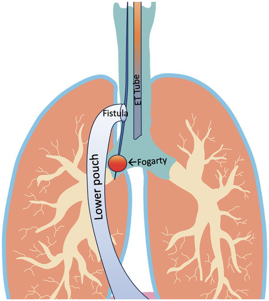 image (3).png