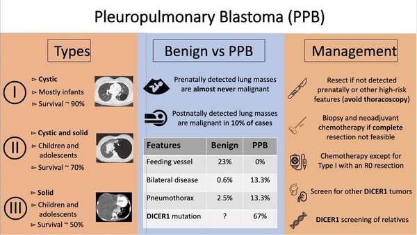 Pleuropulmonary Blastoma
