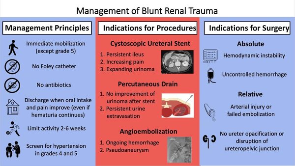 Blunt renal trauma