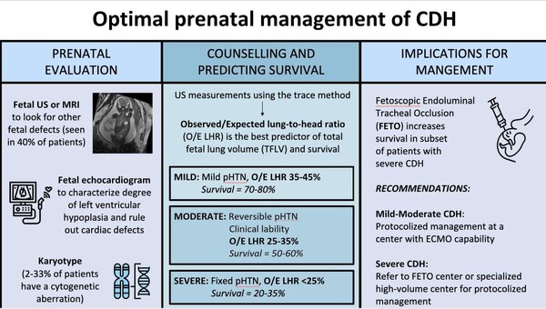Prenatal management of CDH