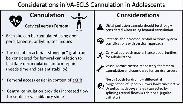 ECMO