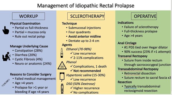 Rectal prolapse