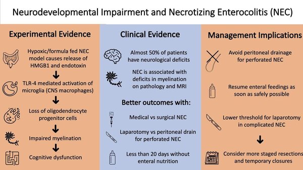 NEC and neurodevelopmental impairment