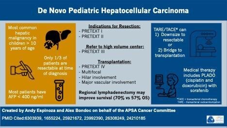 de novo pedia HCC