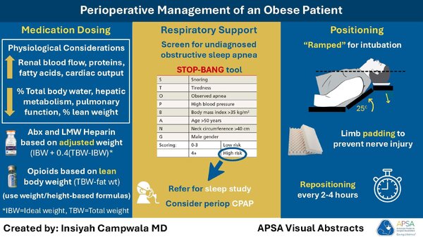 perioperative management of an obese patients